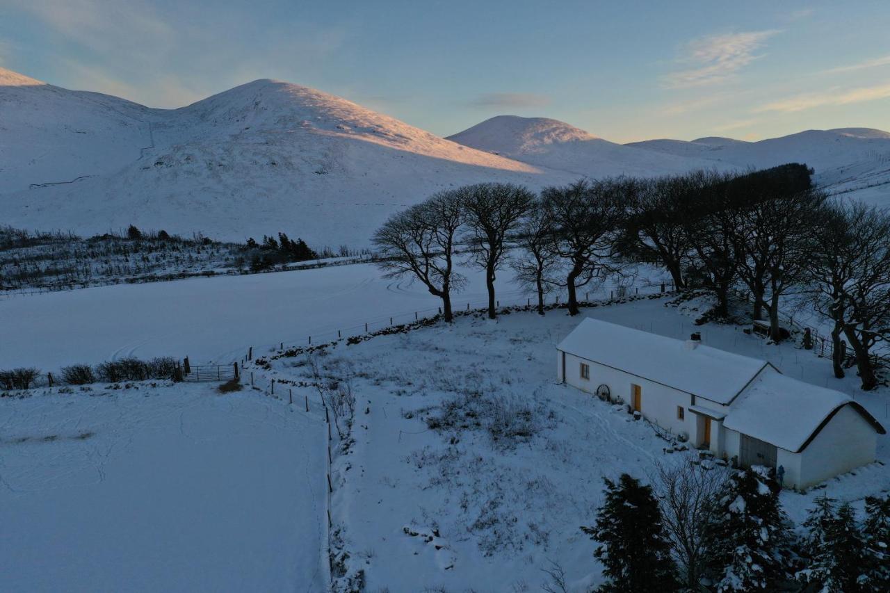 Thistle Thatch Cottage And Hot Tub - Mourne Mountains Newcastle  Exteriér fotografie