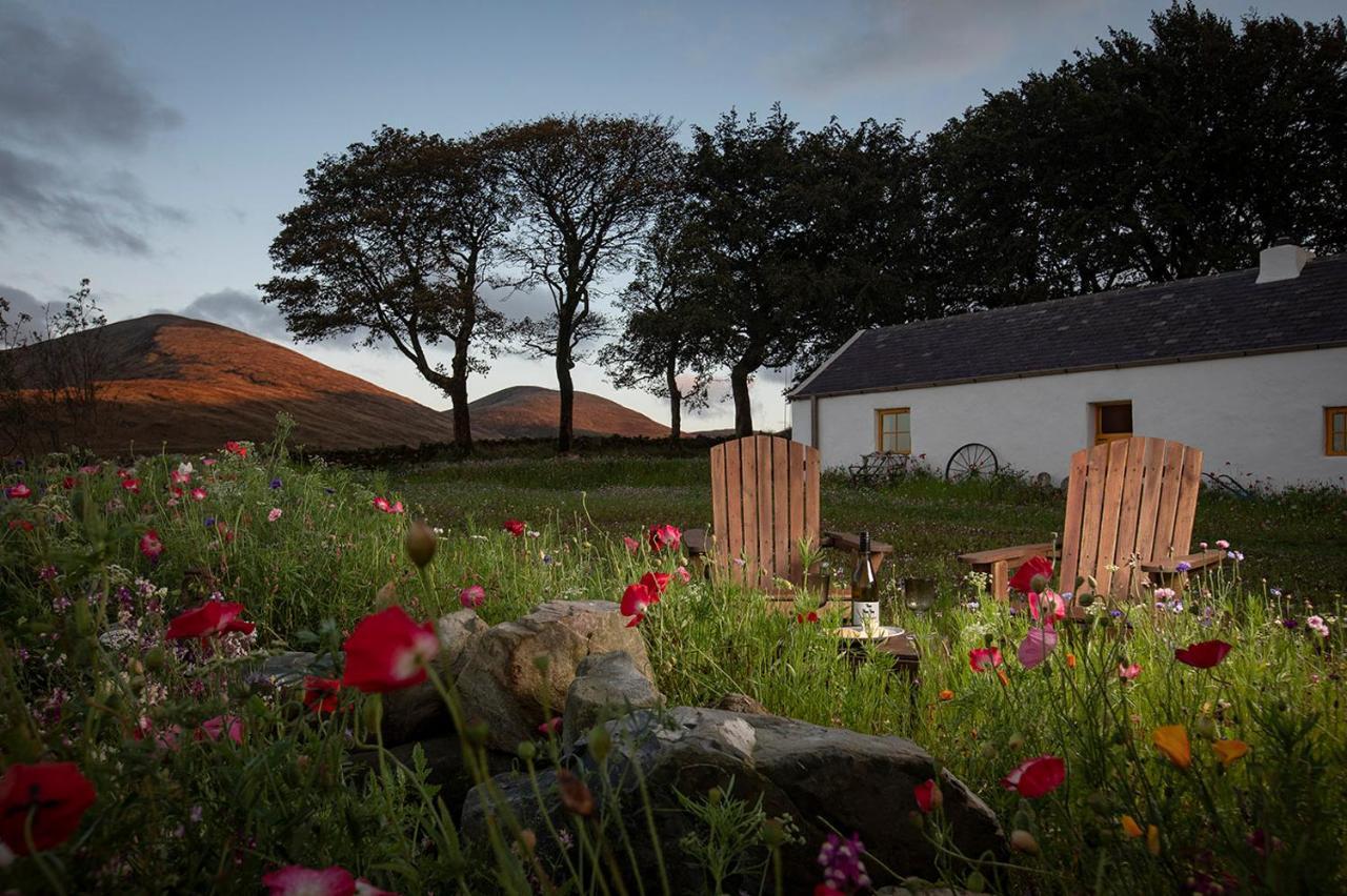 Thistle Thatch Cottage And Hot Tub - Mourne Mountains Newcastle  Exteriér fotografie